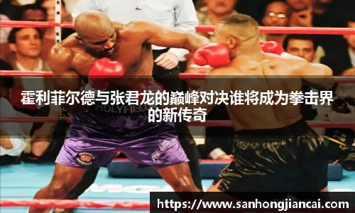 霍利菲尔德与张君龙的巅峰对决谁将成为拳击界的新传奇